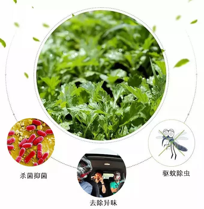 寰俊鍥劇墖_20190522141419.png